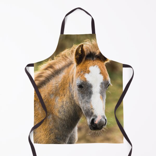 Item preview, Pony designed and sold by Jane Stanley Photography.