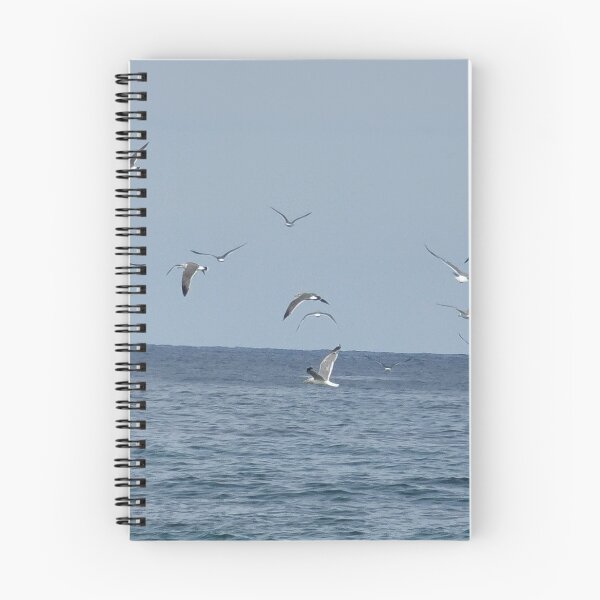 Item preview, View of migratory birds flying on the jeju  island sea in Korea. designed and sold by human8891.