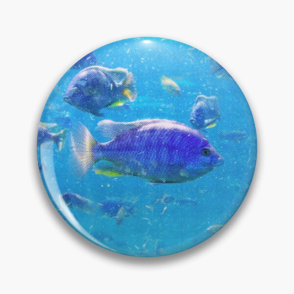 Item preview, Aquarium designed and sold by CreativeGiant.
