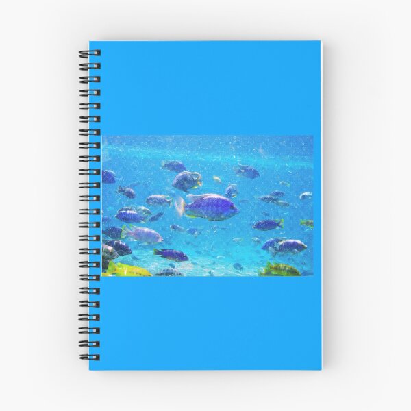 Item preview, Aquarium designed and sold by CreativeGiant.