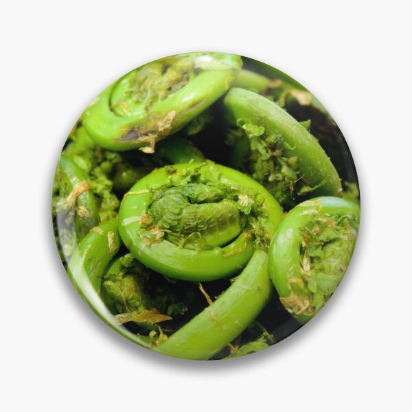 Item preview, Fiddleheads designed and sold by couragesings.