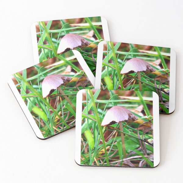 Item preview, Mushroom fungi designed and sold by Emma  Amies.