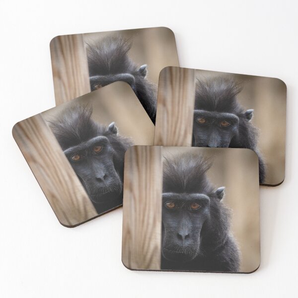 Item preview, Curiosity  designed and sold by Ben Porter Photography.