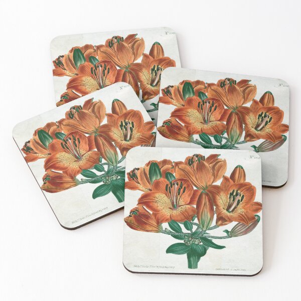 Item preview, Vintage Botanical Print Umbel-Flowering Bulb-Bearing Orange-Lily (1807) designed and sold by Douglas E. Welch Design and Photography.
