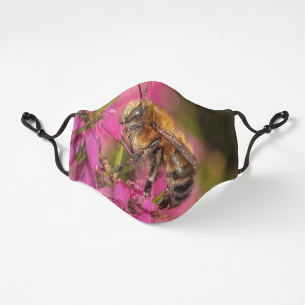 Bee on Heather Fitted 3-Layer