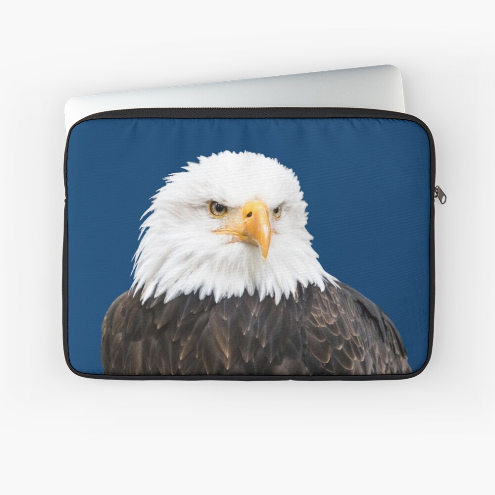 Artikel-Vorschau von Laptoptasche, designt und verkauft von Igelchen.