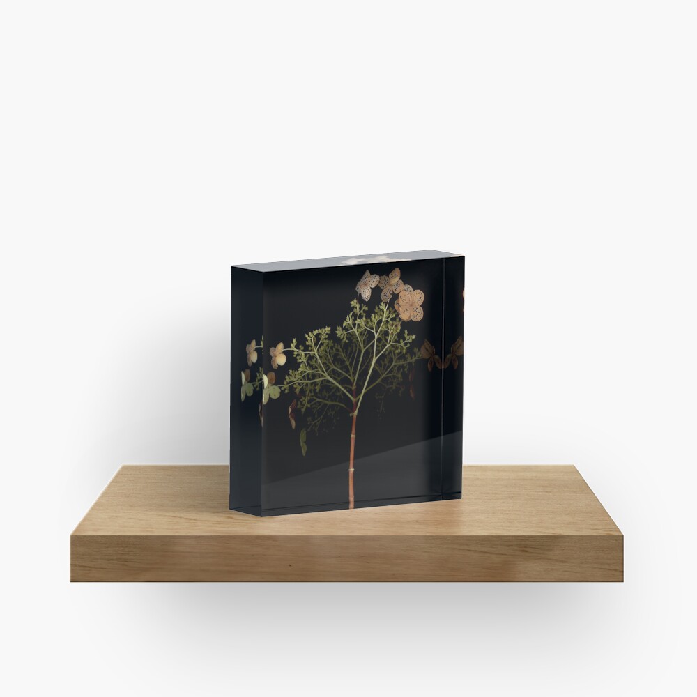 Item preview, Acrylic Block designed and sold by LindasPhotoArt.