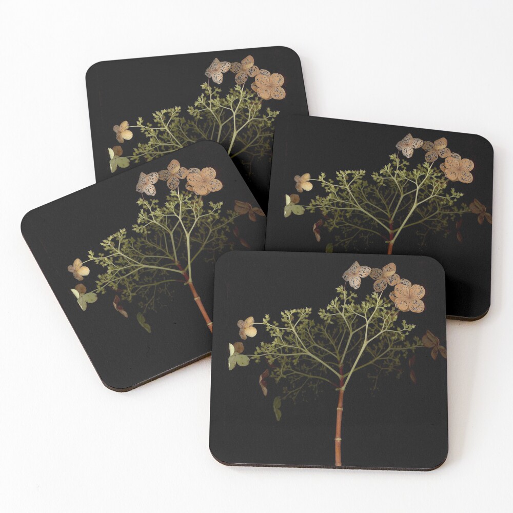Item preview, Coasters (Set of 4) designed and sold by LindasPhotoArt.