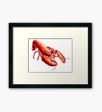 Omar Framed Print