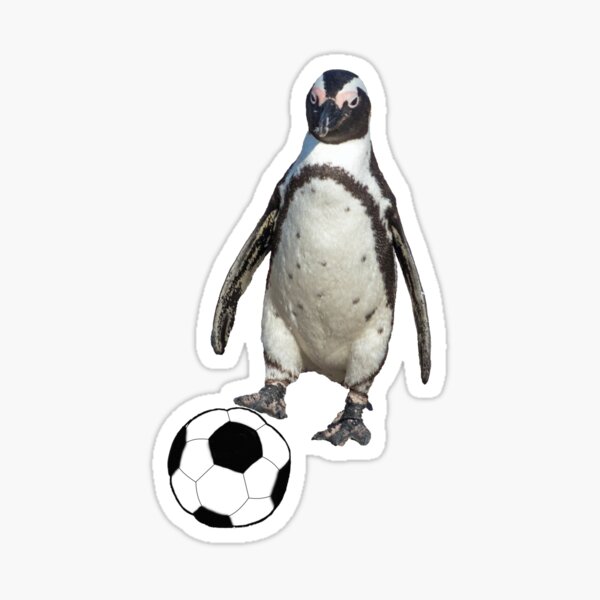 Pinguin Fußball Sticker