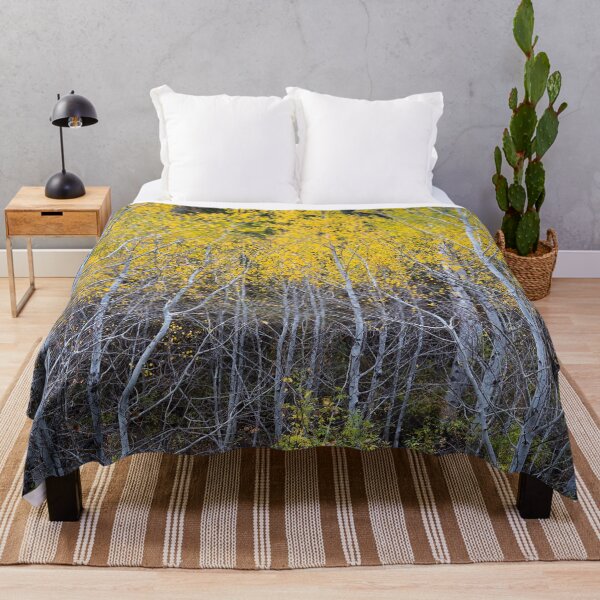 Item preview, Aspen Forest Autumn Colors designed and sold by Amy Mitchell.