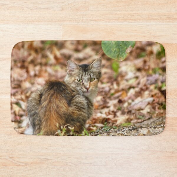 Item preview, Autumn Cat designed and sold by Frankie Cat Photography.
