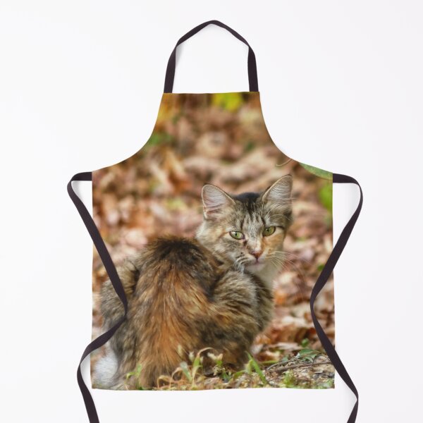 Item preview, Autumn Cat designed and sold by Frankie Cat Photography.