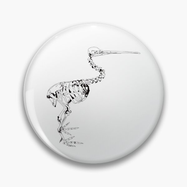 Item preview, Kiwi Bird Skeleton Anatomy designed and sold by ElliottJames.