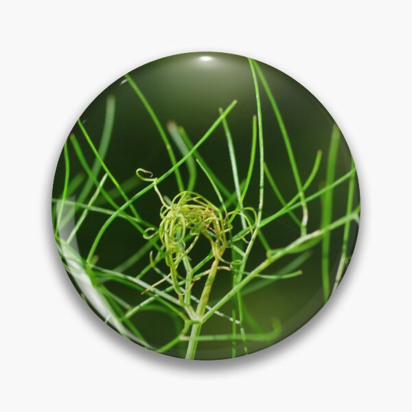 Item preview, Garden herbs - fennel fronds designed and sold by wineandwords.