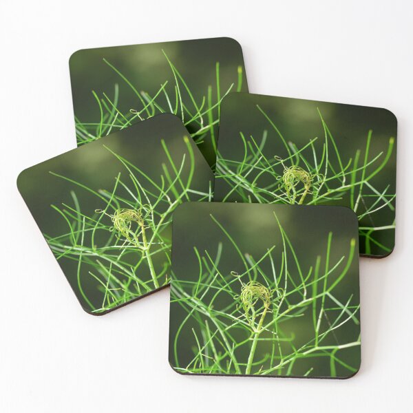 Item preview, Garden herbs - fennel fronds designed and sold by wineandwords.