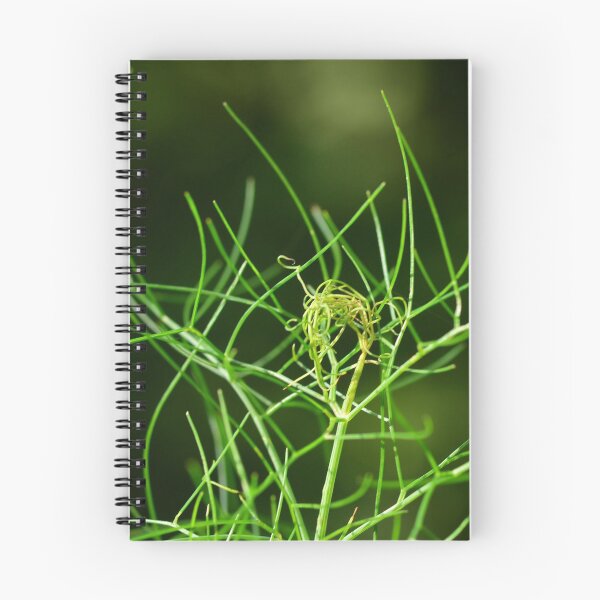 Item preview, Garden herbs - fennel fronds designed and sold by wineandwords.