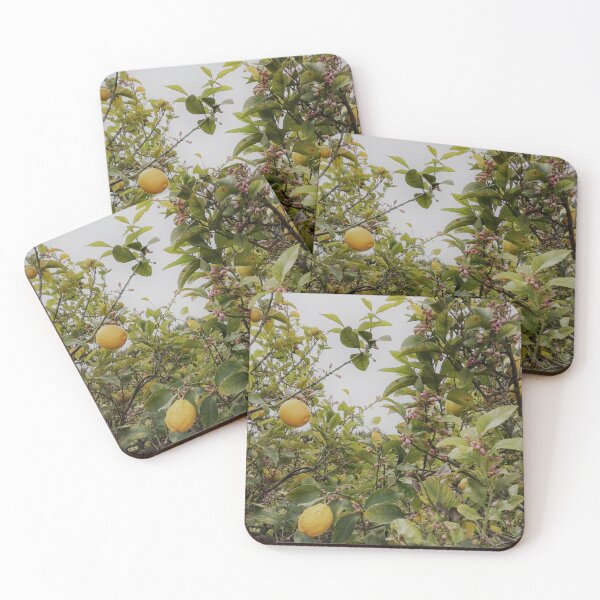 Item preview, Lemon grove in Murcia, Spain designed and sold by wineandwords.