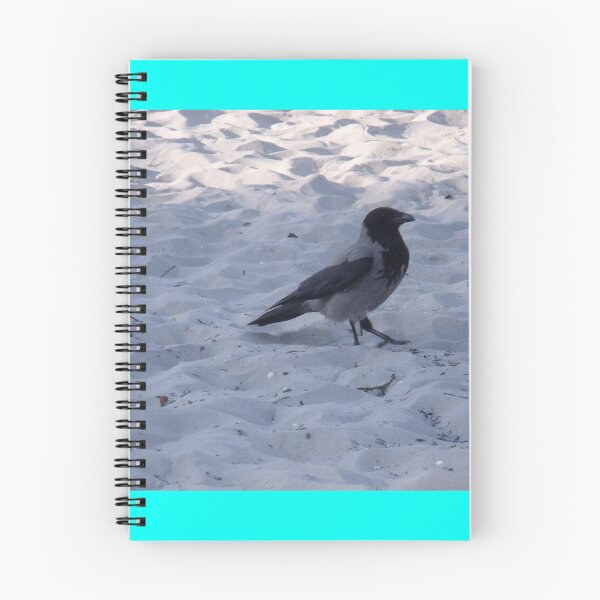 Item preview, Vogel Rügen beach designed and sold by Pascal-2020.