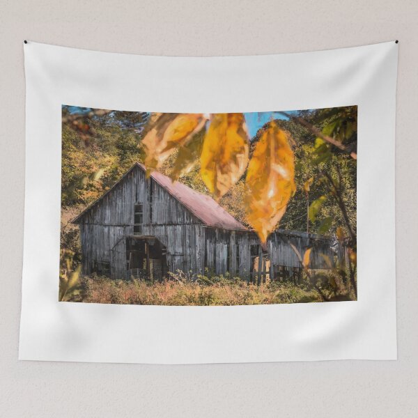 Item preview, Framed By Autumn designed and sold by Jim Love.