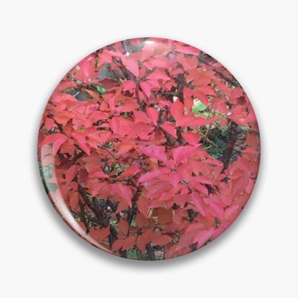 Item preview, Autumn Cherry Tree Leaves designed and sold by pluspixels.