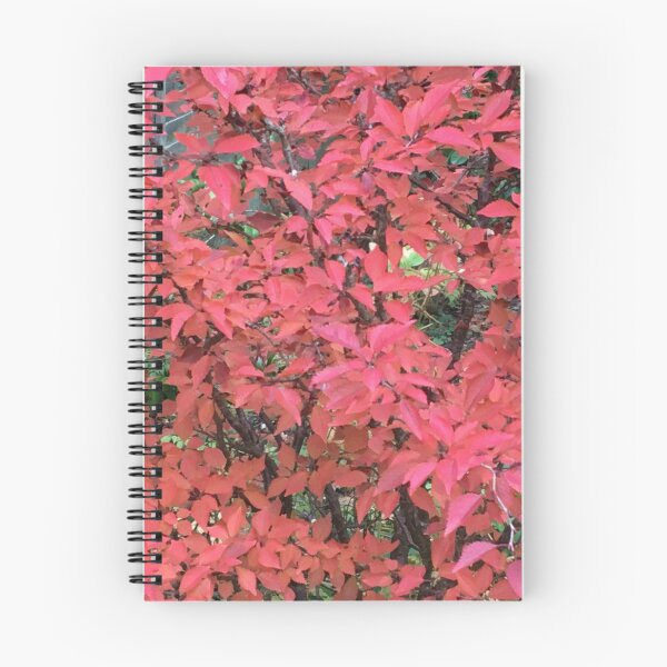 Aperçu de l'œuvre Feuilles de cerisier d'automne créée et vendue par pluspixels.
