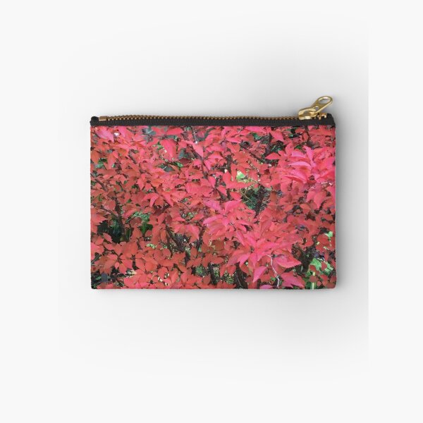 Aperçu de l'œuvre Feuilles de cerisier d'automne créée et vendue par pluspixels.