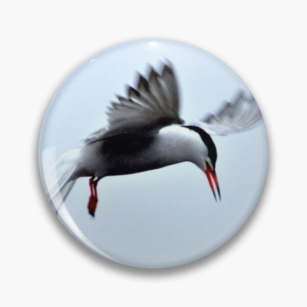 Item preview, Arctic tern designed and sold by EastofAngland.