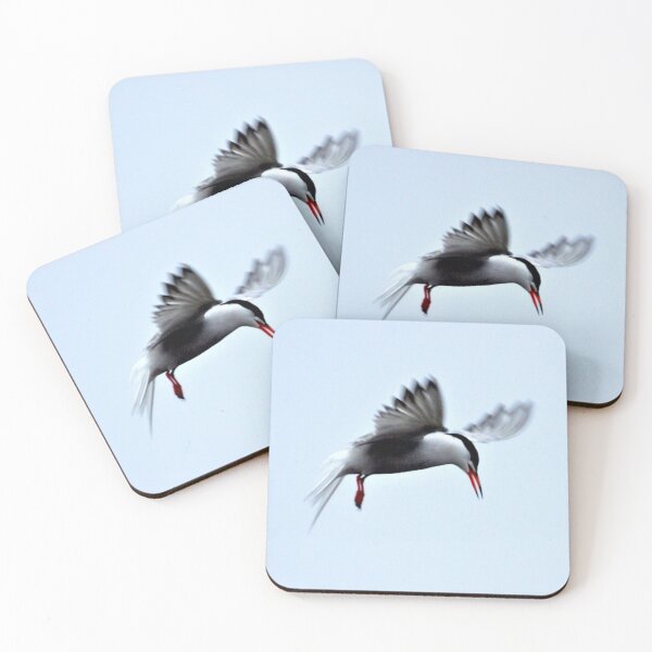 Item preview, Arctic tern designed and sold by EastofAngland.