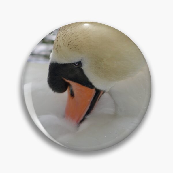 Item preview, Graceful Swan Preening Herself designed and sold by richardbryce.