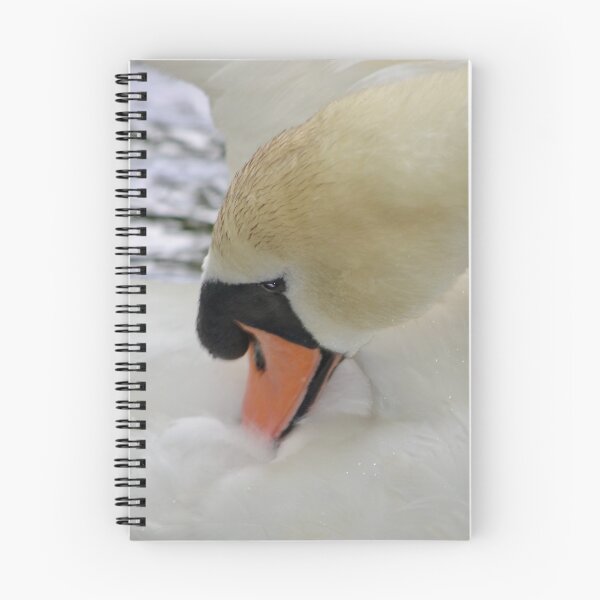 Item preview, Graceful Swan Preening Herself designed and sold by richardbryce.