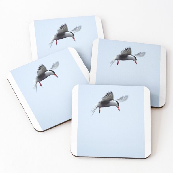 Item preview, Arctic Tern designed and sold by EastofAngland.