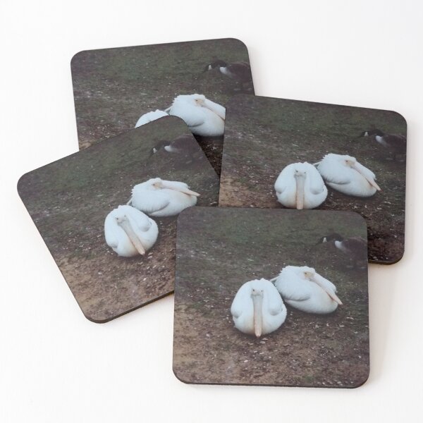 Item preview, Two long billed foul designed and sold by edwardtiptonart.