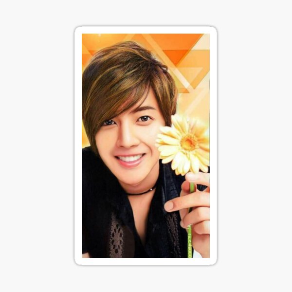 Kim Hyun Joong Pegatina
