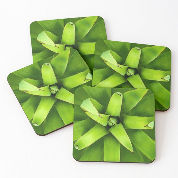 Item preview, Agave plant, bright green, sculptural. Close up of centre. designed and sold by JellyBeenzz.
