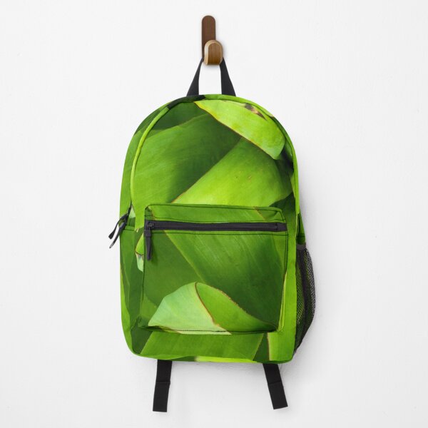 Item preview, Agave plant, bright green, sculptural. Close up of centre. designed and sold by JellyBeenzz.