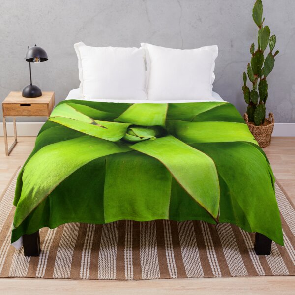 Item preview, Agave plant, bright green, sculptural. Close up of centre. designed and sold by JellyBeenzz.
