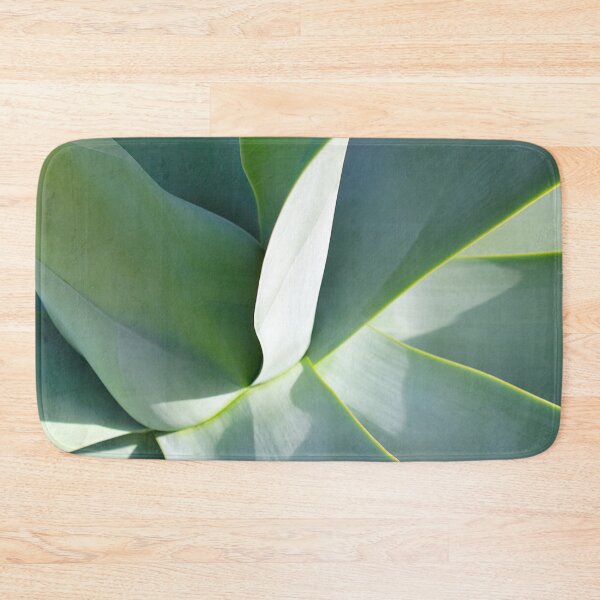 Item preview, Agave plant, grey green, sculptural. Close up of centre. Dappled sunlight. designed and sold by JellyBeenzz.