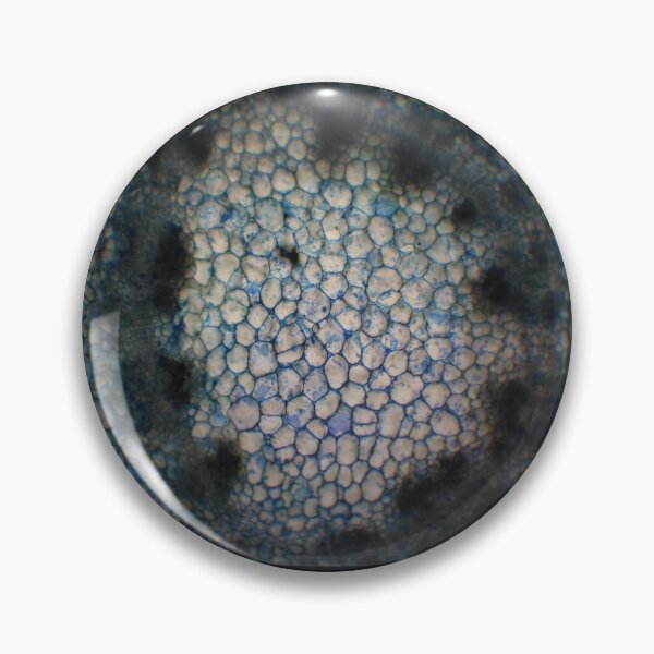 Item preview, E. runyonii Stem designed and sold by bannisar.
