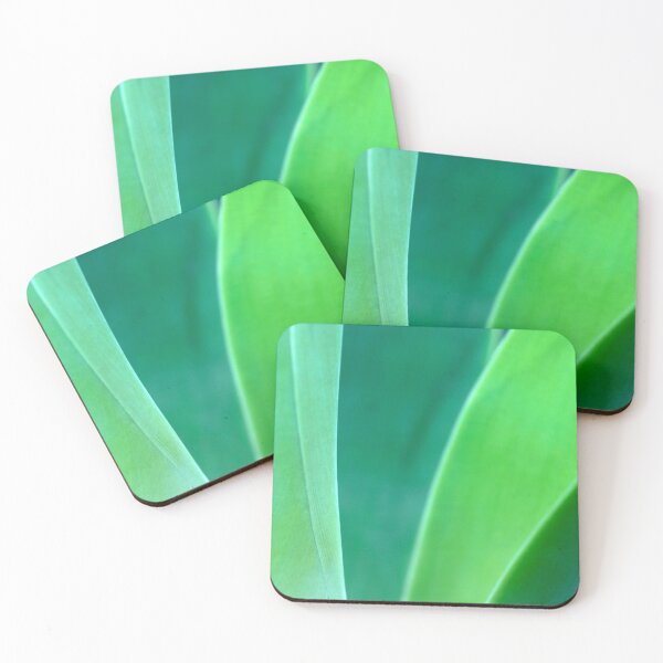 Item preview, Agave plant, grey green, sculptural. Close up of vertical leaves.  designed and sold by JellyBeenzz.