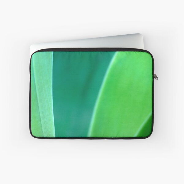 Item preview, Agave plant, grey green, sculptural. Close up of vertical leaves. designed and sold by JellyBeenzz.