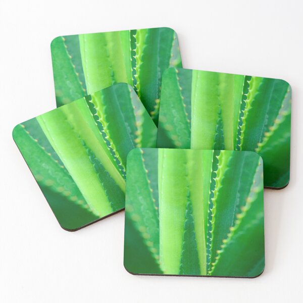Item preview, Agave plant, green, sculptural. Close up of spiky, vertical leaves.  designed and sold by JellyBeenzz.