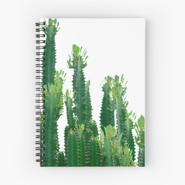 Item preview, A collection of cacti or is it cactuses? Depends who you ask! designed and sold by JellyBeenzz.