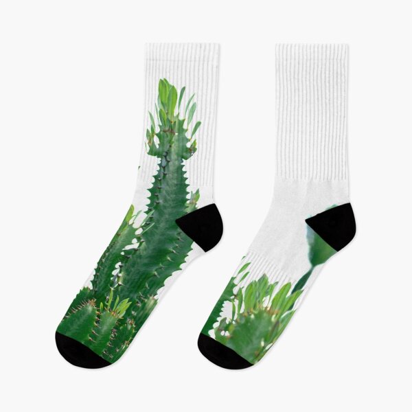Item preview, A collection of cacti or is it cactuses? Depends who you ask! designed and sold by JellyBeenzz.