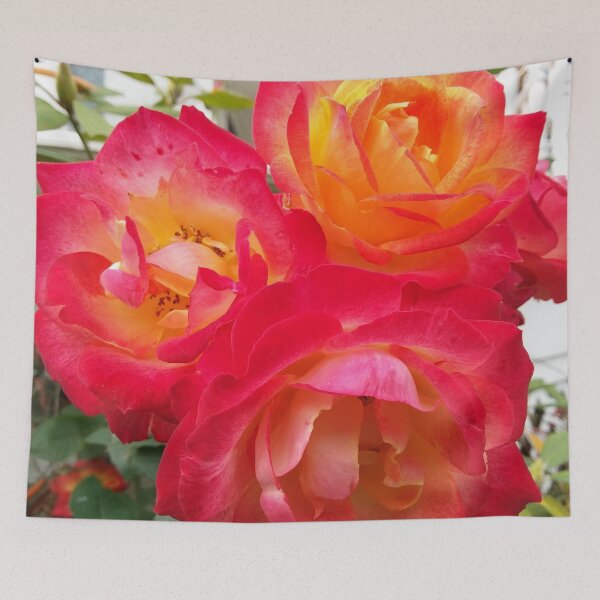 Item preview, Beautiful fall color roses designed and sold by edwardtiptonart.