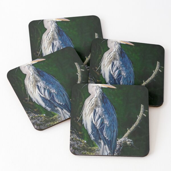 Item preview, Gray Heron designed and sold by Flyal4.