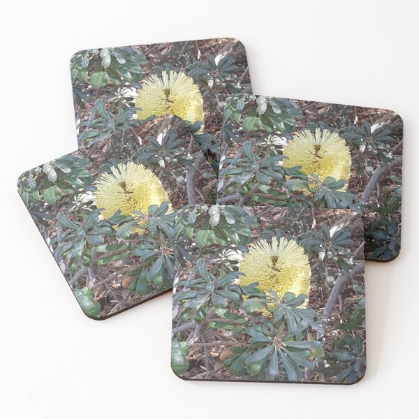 Item preview, Banksia designed and sold by Pruly01.