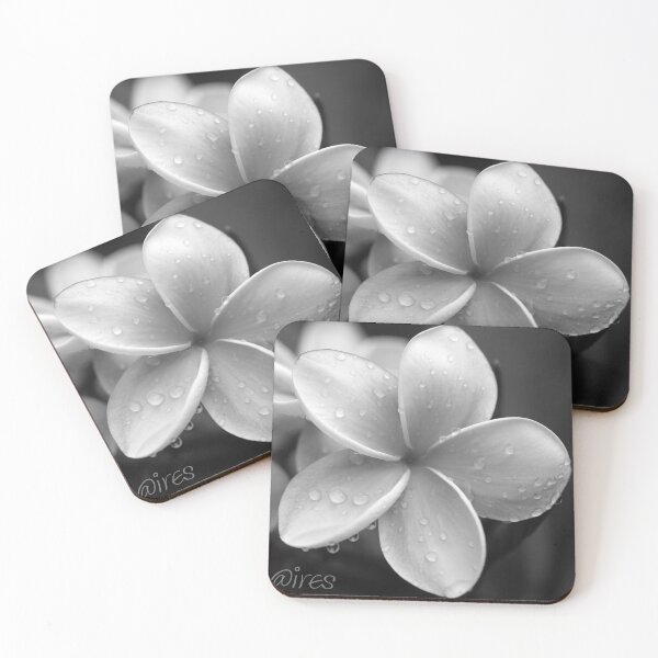 Item preview, Spring Dance designed and sold by Aires Photography.