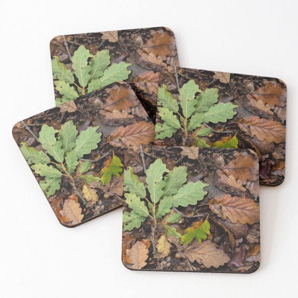 Item preview, Autumn leaves designed and sold by Francesko221.