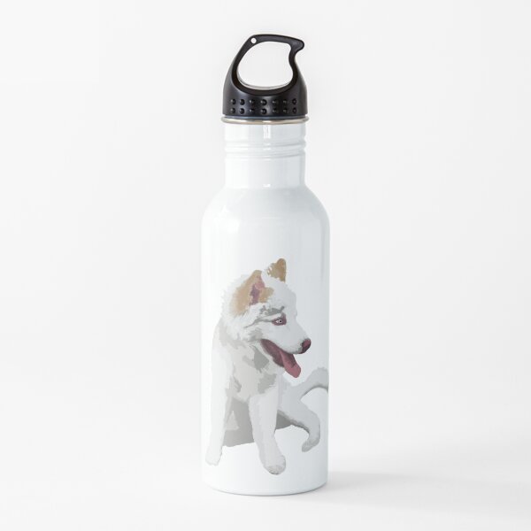 Husky sentado Botella de agua